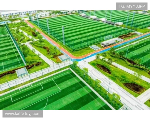 凯发体育平台网页版手机端使用指南，随时随地享受体育博彩乐趣